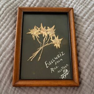 Pressed Floral Art in Wooden Frame